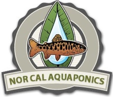 Commercial-Aquaponics-Training-California-2015